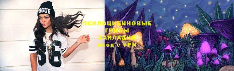 кракен вход  Лениногорск  Галлюциногенные грибы Magic Shrooms 